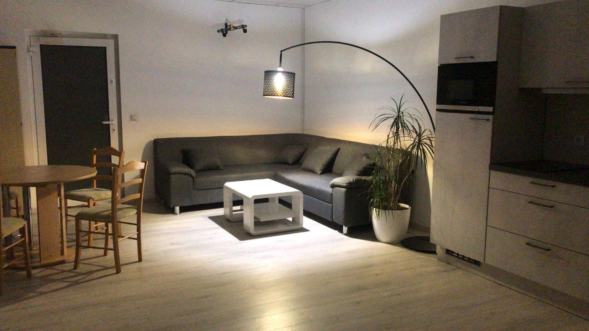 Grosse & Voll Ausgestattete Apartments, Studios, Doppelzimmer, Workspace, Parkplatz, Netflix, Prime & Schnelles Wifi In Ruhiger Lage Mit Garten Rudolstadt Exteriér fotografie