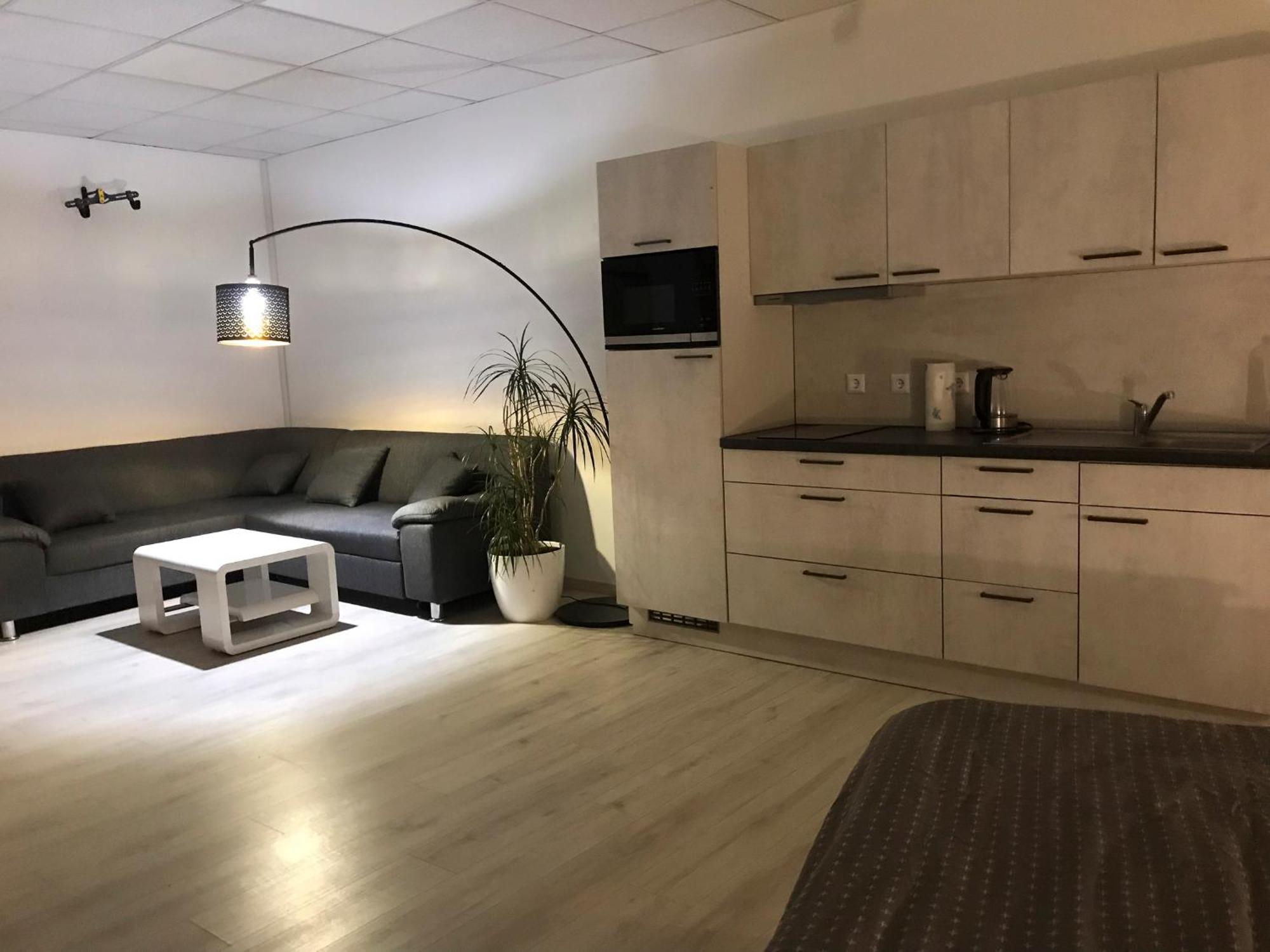 Grosse & Voll Ausgestattete Apartments, Studios, Doppelzimmer, Workspace, Parkplatz, Netflix, Prime & Schnelles Wifi In Ruhiger Lage Mit Garten Rudolstadt Exteriér fotografie